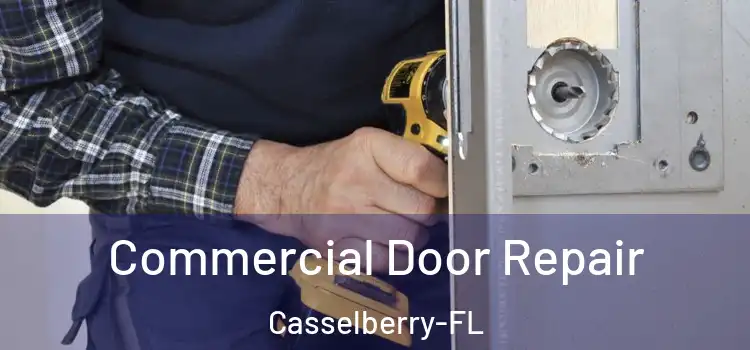  Commercial Door Repair Casselberry-FL