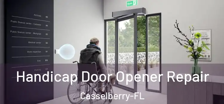 Handicap Door Opener Repair Casselberry-FL